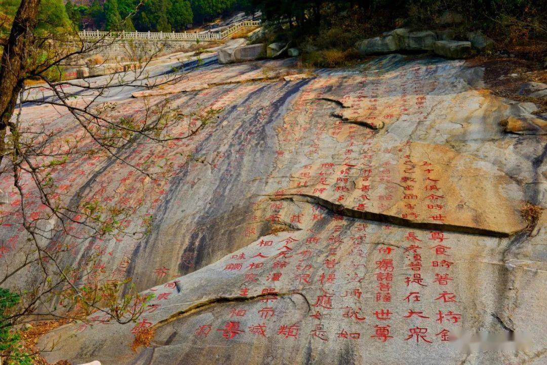 三小只僵尸的游戏时间6
